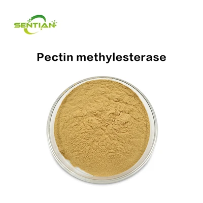 Pectin Methylesterase